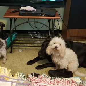 Meet your Posher, Nancy